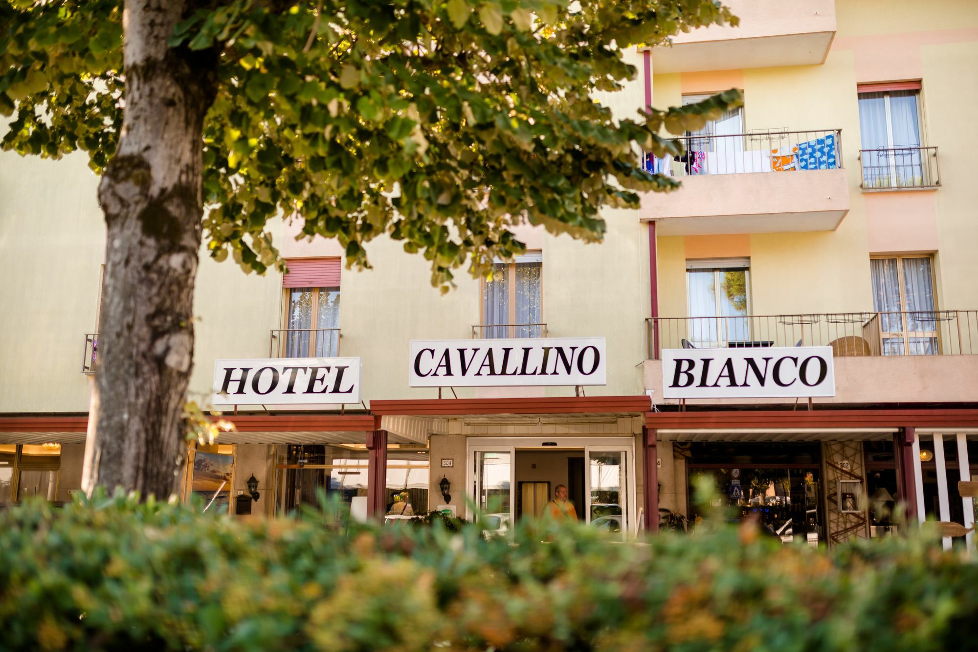 Hotel Cavallino Bianco Exteriér fotografie